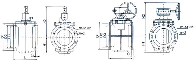 彈性座封偏心旋塞閥結(jié)構(gòu)示意圖 彈性座封偏心旋塞閥結(jié)構(gòu)示意圖