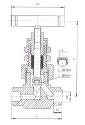 SS-6NBSW8T美標焊接針型閥結構示意圖 SS-6NBSW8T美標焊接針型閥結構示意圖